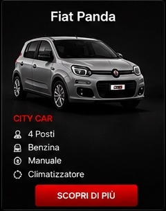 Fiat Panda grigio Nardò